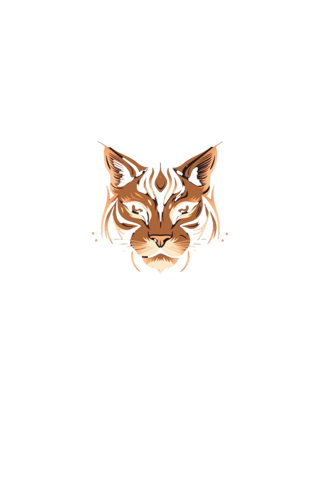 Cotton Hooded Sweatshirt | "Flower Nahi Fire Hai Mai"